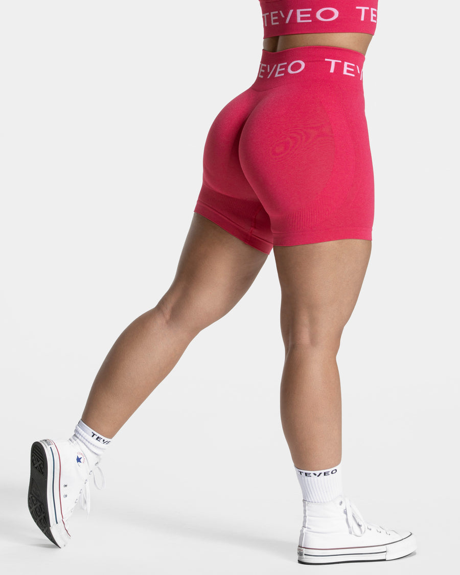 Short Covert Scrunch Signature « berry »